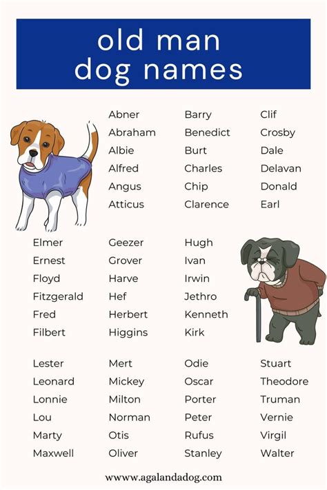 old man names for dogs|grumpy old men names.